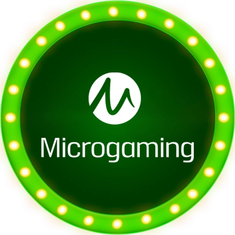 MICRO GAMING